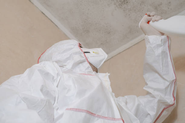 Best DIY Mold Remediation Support Services in , DC